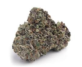 Candy Mintz - INDICA HYBRID