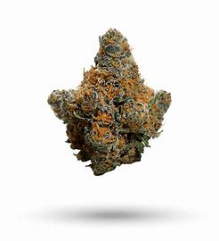 5280 - INDICA