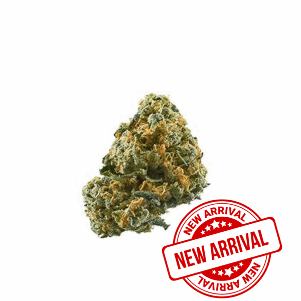 Captain Jack OG - INDICA