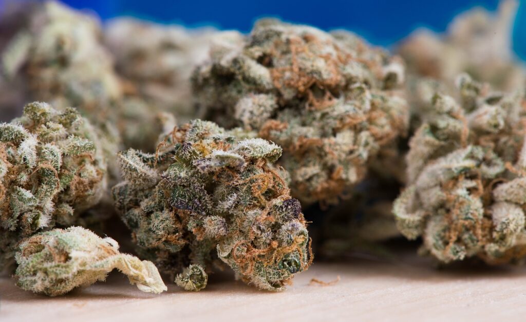 cannabis, marijuana, cannabis flower, cannabis buds, marijuana buds, weed, hemp, medical marijuana, cannabis plant, cannabis macro, trichomes, flower buds, herbal, botanical, macro, close up, medicinal plant, cbd, thc, cannabis photography, nature, plant, green, cultivation, cannabis industry