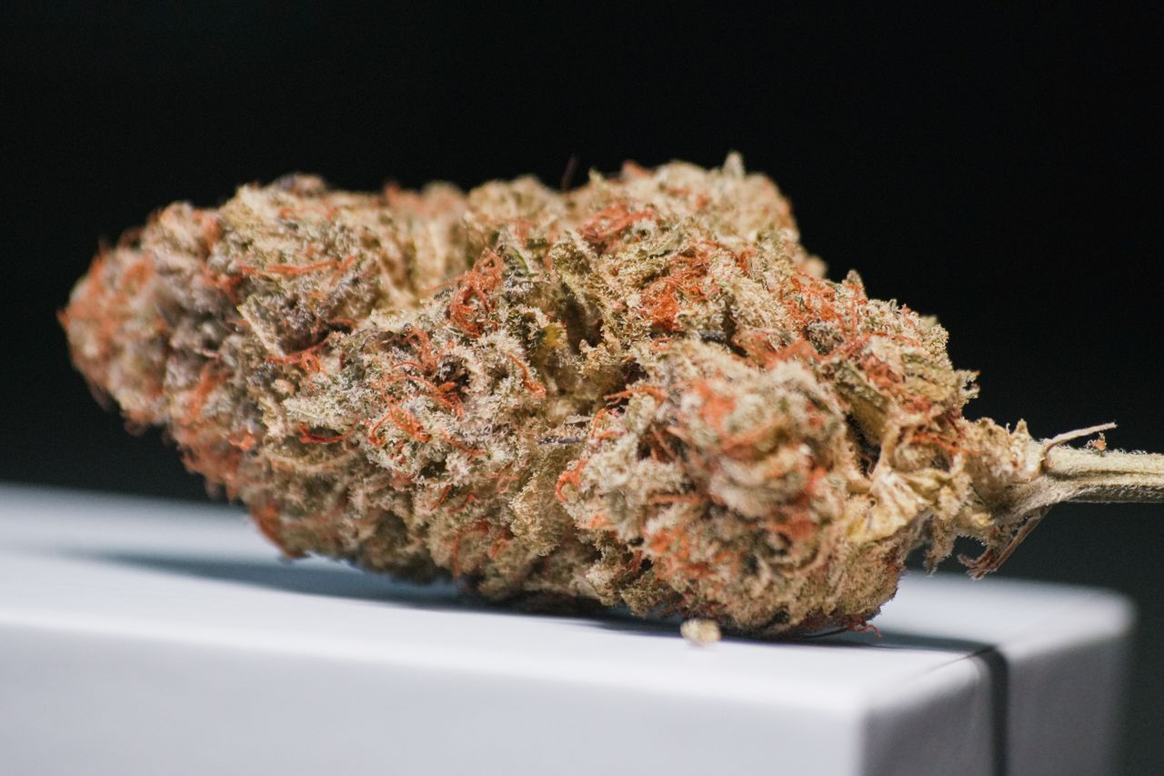 A detailed close-up of a cannabis bud showing trichomes against a white background.