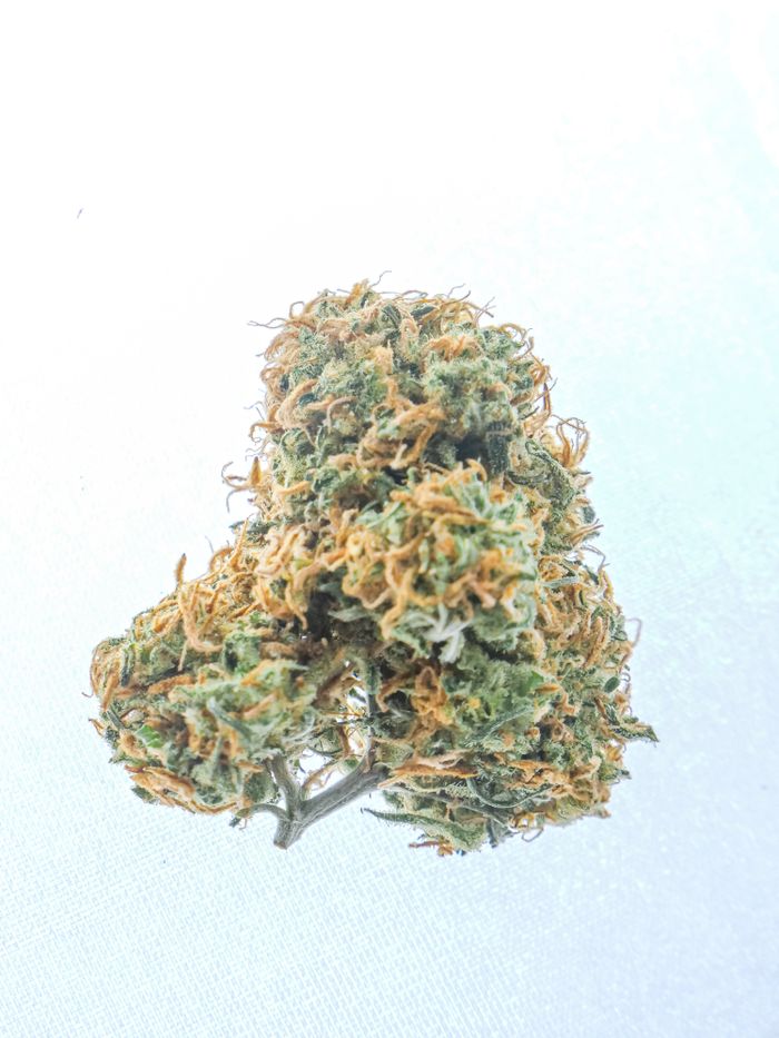frosted Cherry Cookies strain